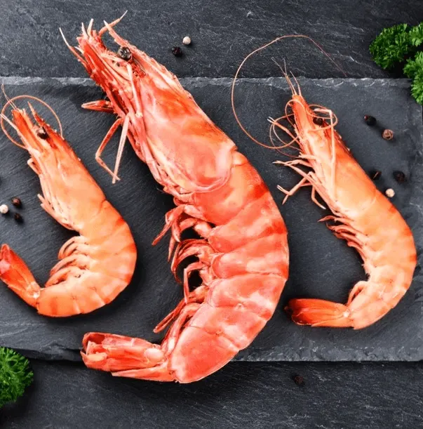 New Zealand fish, shellfish and imported white fish fillets supplied for export